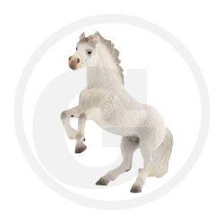 1:16 Semental LIPIZZANER