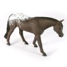 1:16 Yegua APPALOOSA 154305