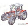 MASSEY FERGUSON 6110 - Cristal techo