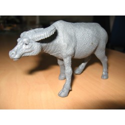 1:16 Carabao 6u.