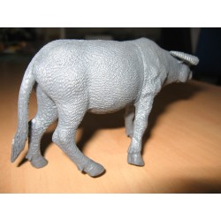 1:16 Carabao 6u.