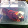 1:32 GRIMME cosechadora de patatas SF 150-60