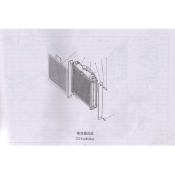 1000 P1 Oil radiator